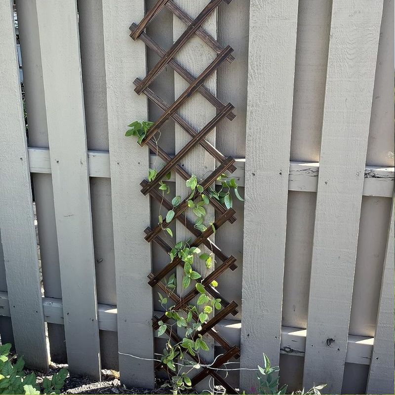 Give the twining vine a structure to climb