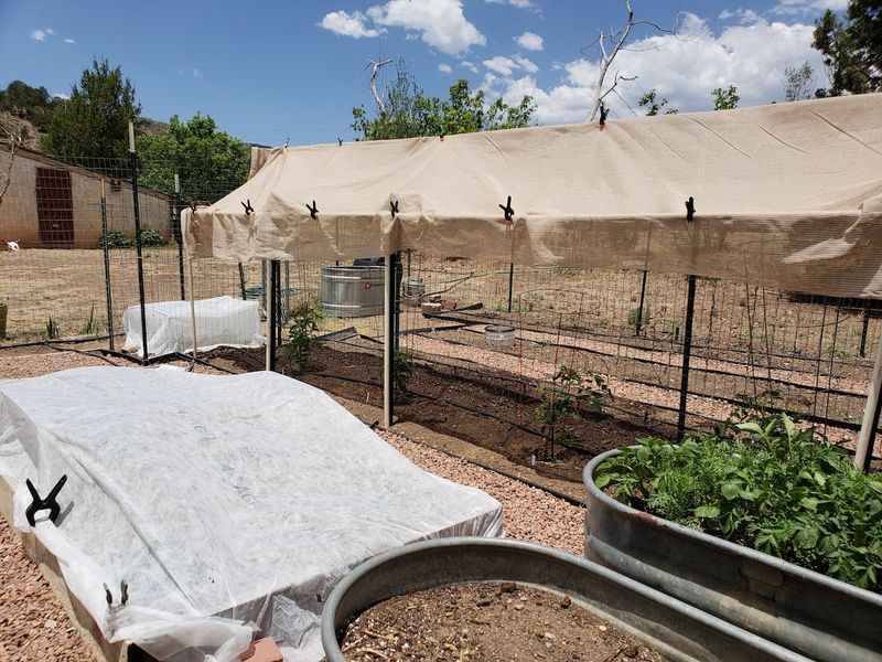 Give young plants a cooler, steadier start