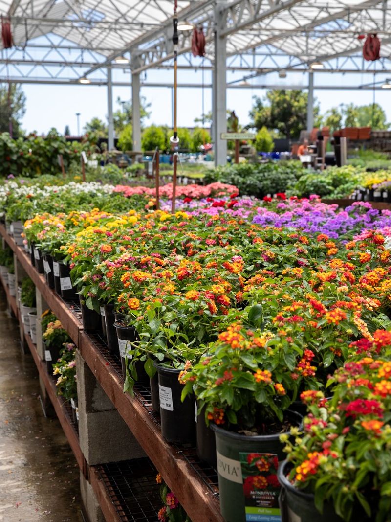 Green Acres Nursery & Supply (Sacramento region)