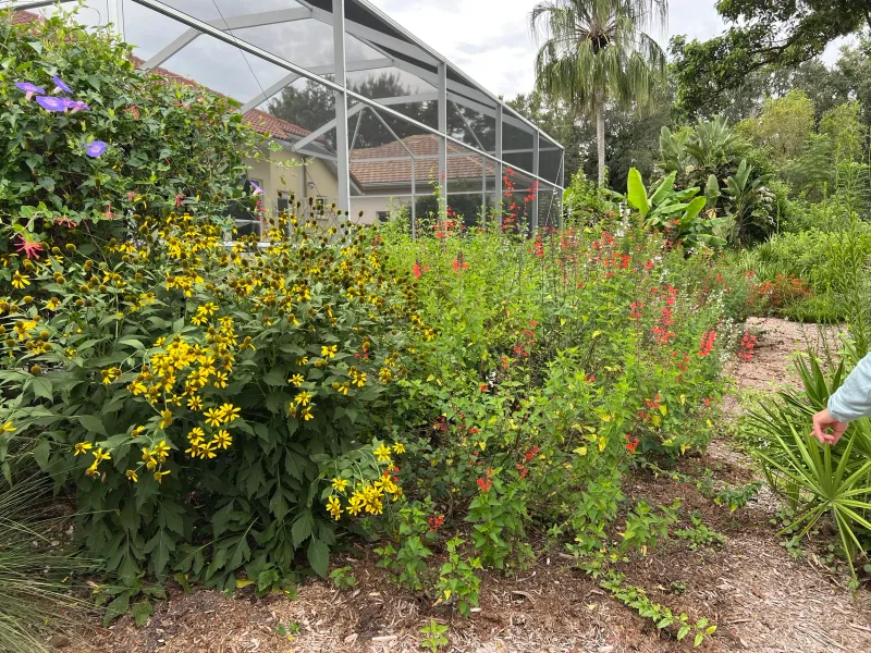 Green Isle Gardens