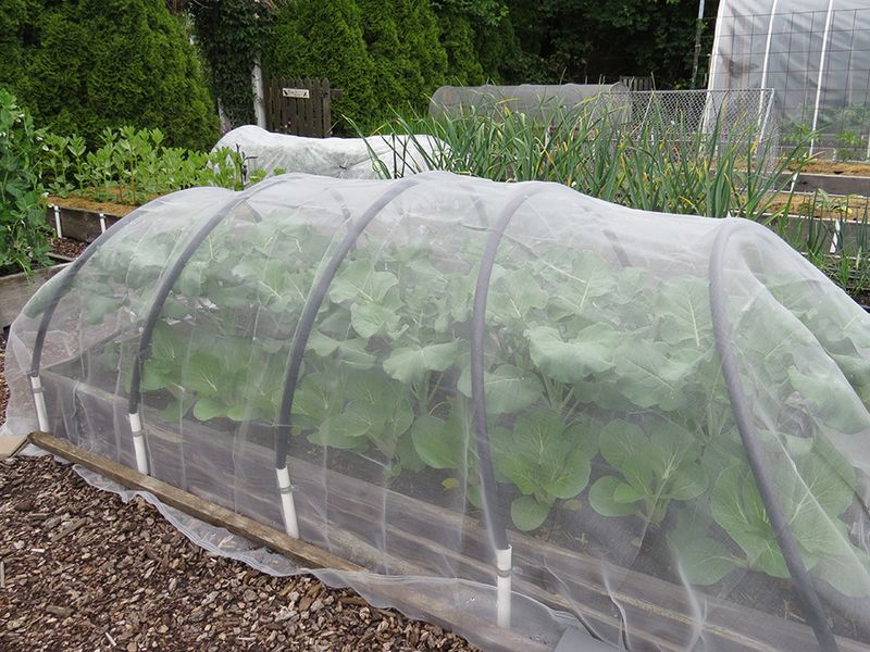 Guarding Against Fall Pests and Critters Guarding Against Fall Pests and Critters