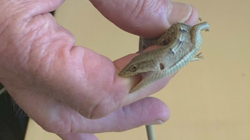 Handle an Indoor Encounter Without Harm