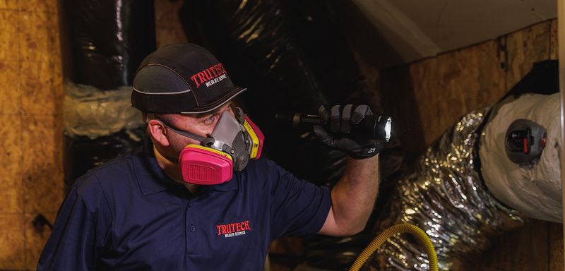 Handle bat encounters and exclusions safely