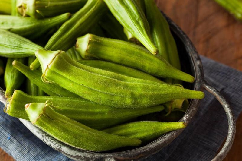 Handle morning-picked okra carefully after harvest Handle morning-picked okra carefully after harvest