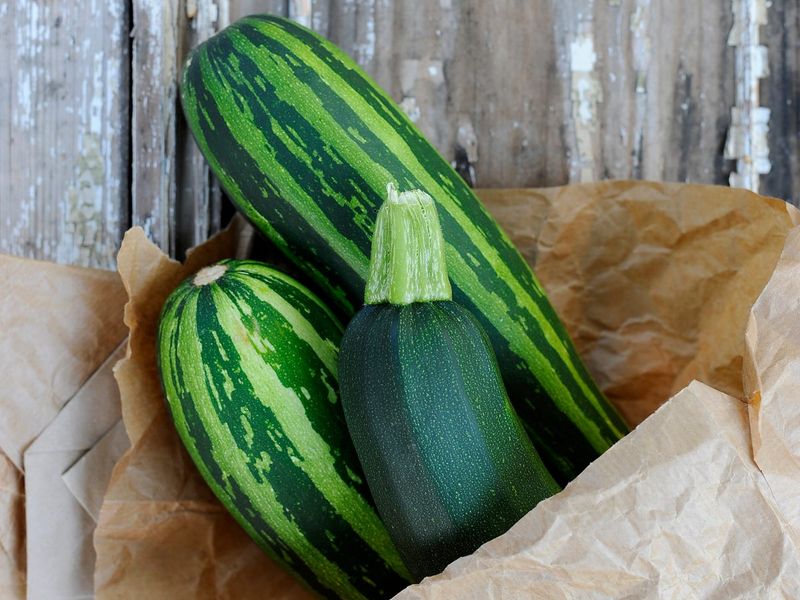 Handle tender zucchini carefully and use it soon Handle tender zucchini carefully and use it soon