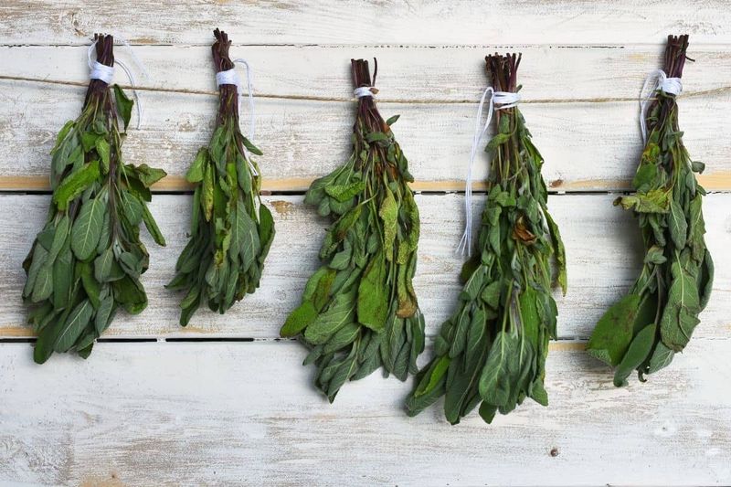 Harvest and dry the leaves for the kitchen