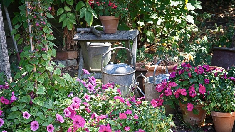 Heat and container care support new growth