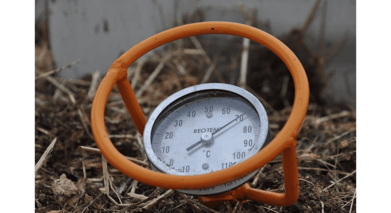 Heat can undermine emergence before seedlings stretch