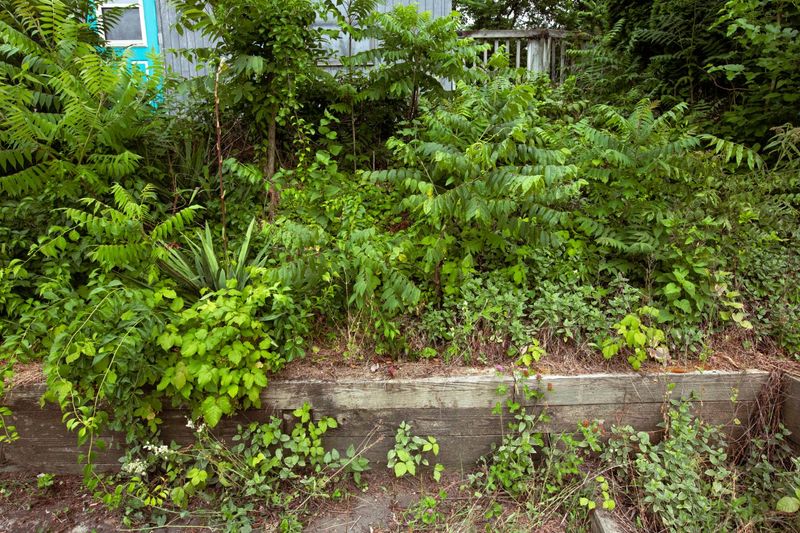 How to Check Whether a Rule Applies to Your Property