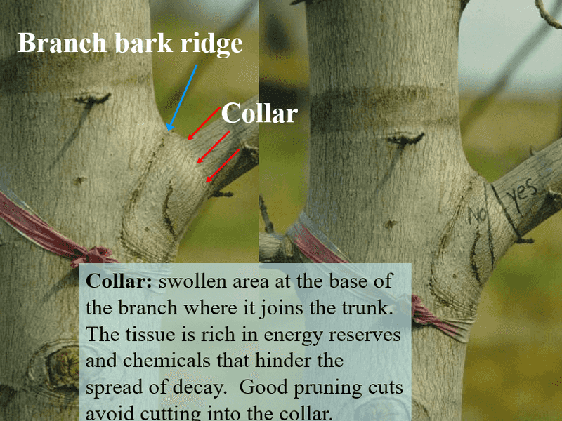 How to Make Safe Corrective Cuts