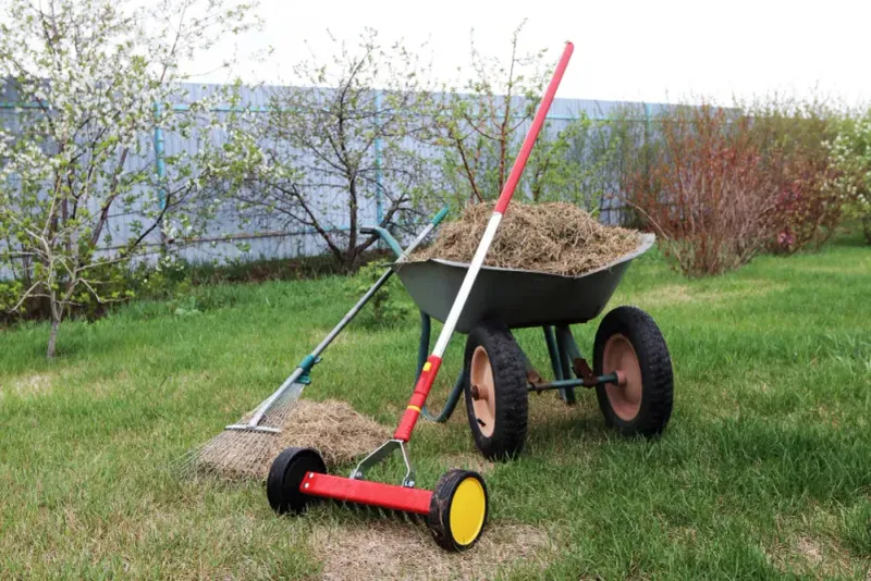 Inspect moisture, drainage, thatch, and compaction before treating