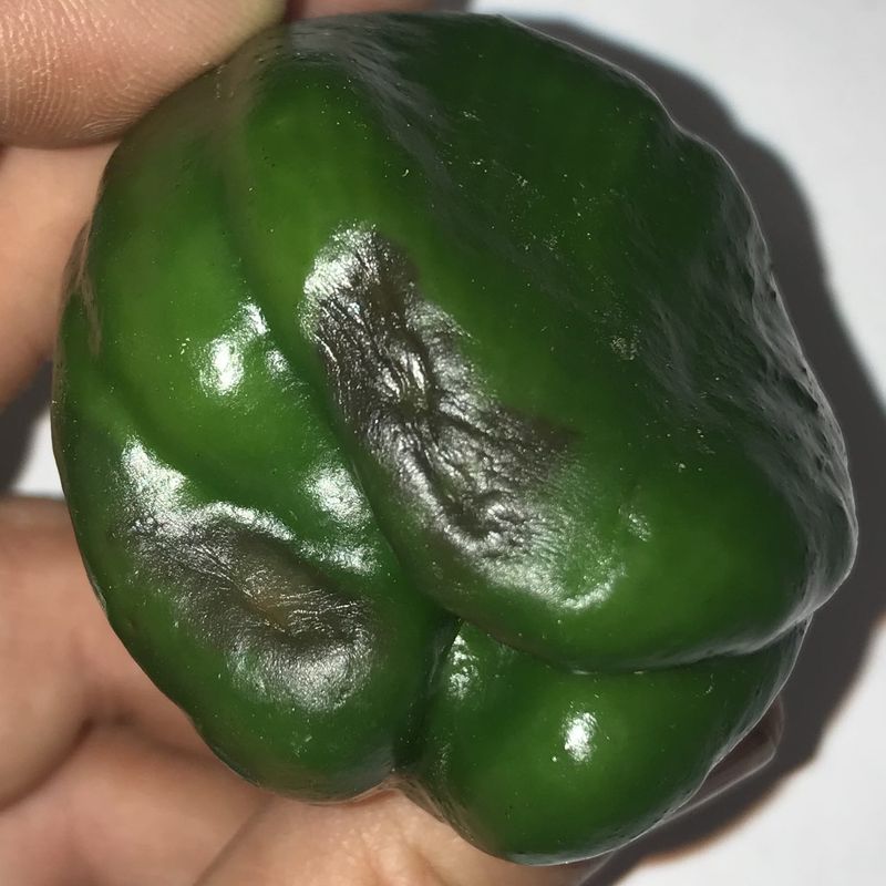 Inspect the fruit before choosing a fertilizer or treatment