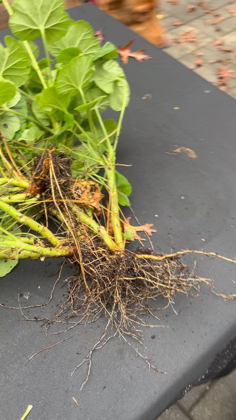 Inspect the roots for clues, not certainty