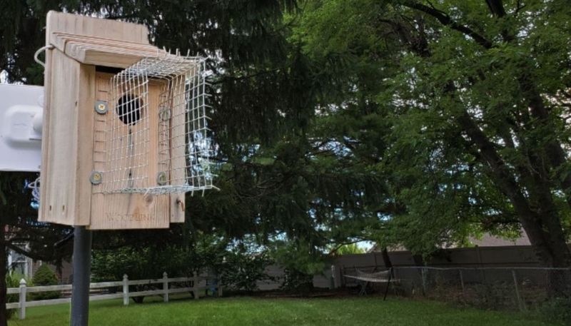 Install a nest box that does not invite extra risks