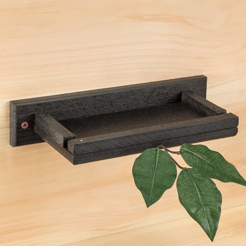 Install an open nesting shelf instead of a conventional birdhouse Install an open nesting shelf instead of a conventional birdhouse