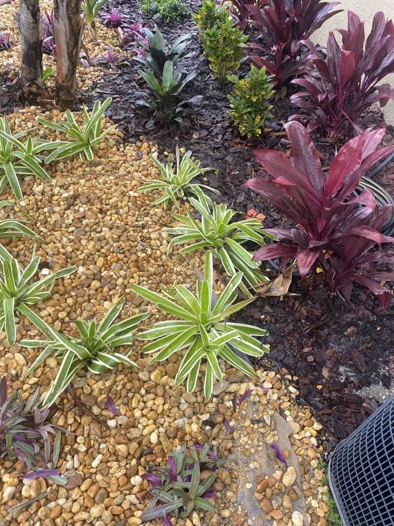 Irrigation Leaks and Damp Mulch Pockets