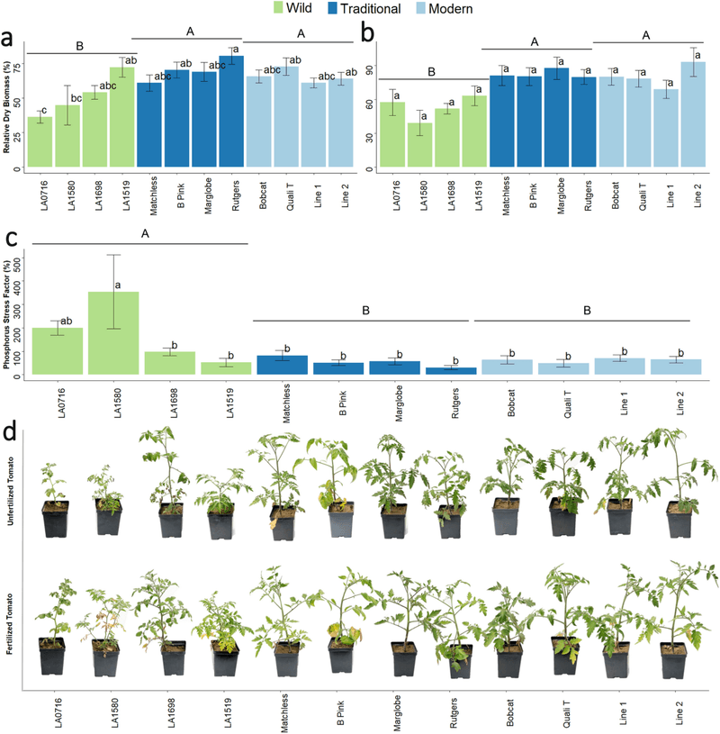 Judge recovery by new growth, not old leaf color Judge recovery by new growth, not old leaf color
