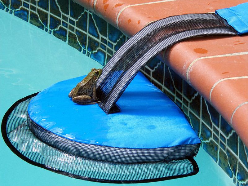 Keep Water Features Safe and Easy to Exit
