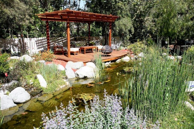 Keep a dragonfly pond from becoming a mosquito nursery Keep a dragonfly pond from becoming a mosquito nursery