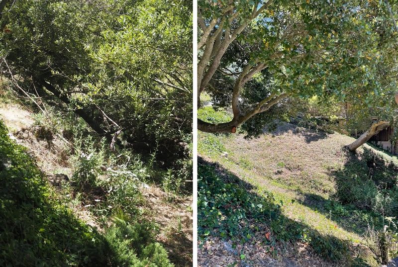Keep habitat improvements compatible with defensible space Keep habitat improvements compatible with defensible space