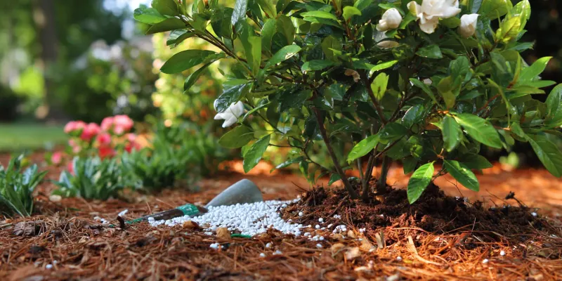 Keep moisture and soil conditions steady