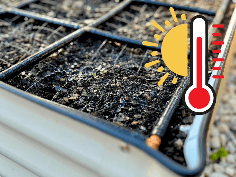 Keep moisture steady through the heat