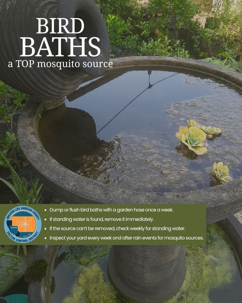 Keep mosquito control separate and practical