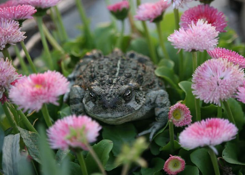 Keep the habitat opportunity, not the structural hazard