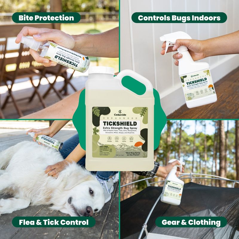 Keep transported ticks from reaching the house