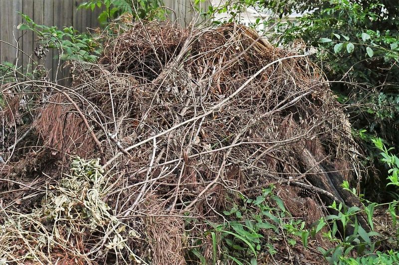 Keep useful wildlife cover away from daily household traffic Keep useful wildlife cover away from daily household traffic