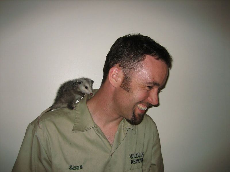 Know When to Call a Wildlife Professional
