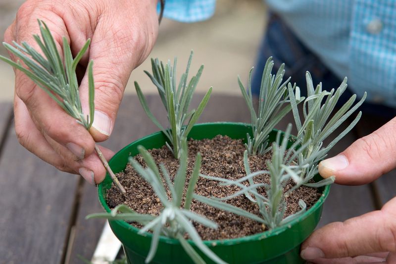 Know when propagation or replacement makes more sense