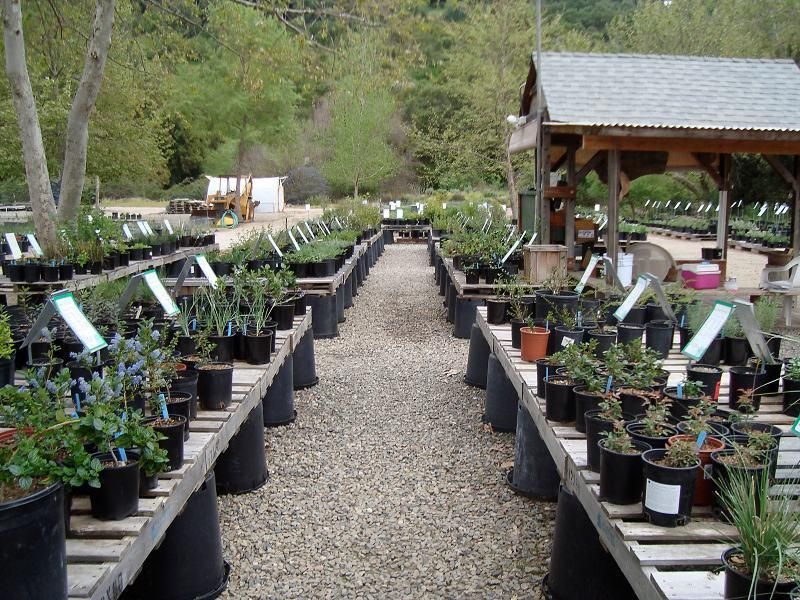 Las Pilitas Nursery (Escondido & Santa Margarita)