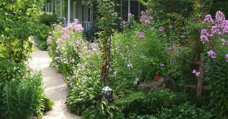 Layered vegetation can make a yard more suitable