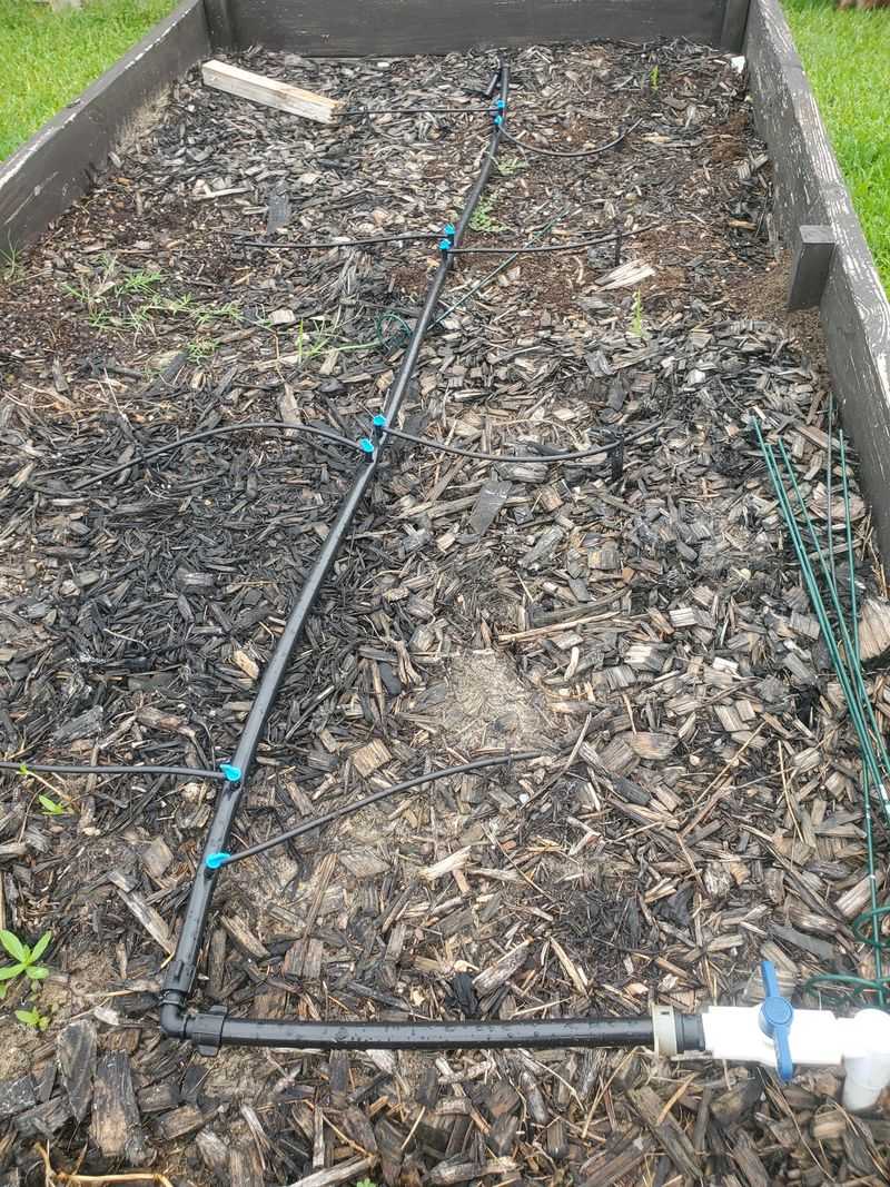 Leaky Hose Bibs and Drip Irrigation Lines