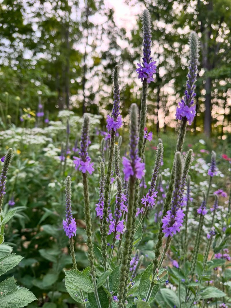 Leave a small patch only where it fits your yard