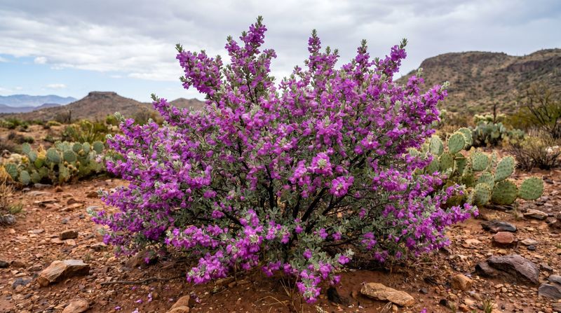Let root-zone conditions guide established-plant watering
