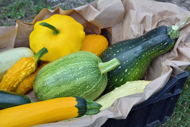 Let the cultivar determine the color Let the cultivar determine the color