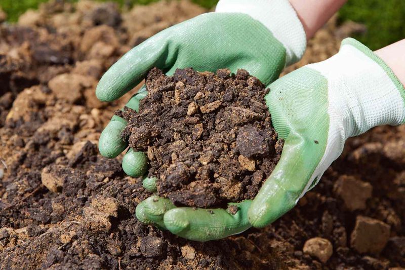 Letting the Soil Pack Down Hard