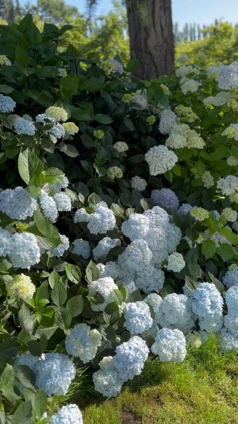 Light, moisture, and heat can affect bloom quality