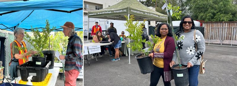 Local Water District Rebate and Giveaway Events