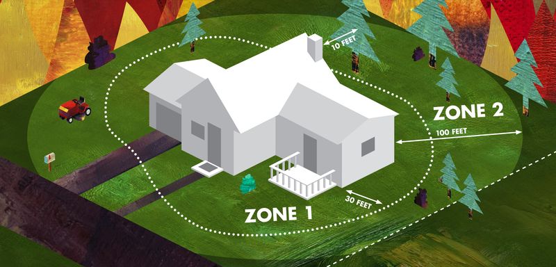 Local landscape, nuisance, and fire rules may change the answer Local landscape, nuisance, and fire rules may change the answer