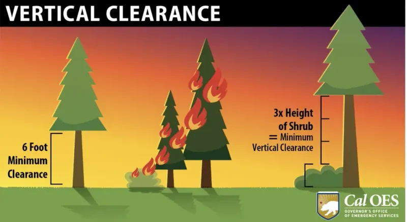 Local tree and wildfire rules can create separate requirements