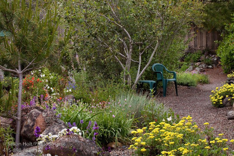 Look for a habitat mosaic, not a magic plant