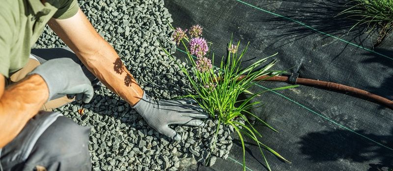 Maintain moisture without keeping the soil soggy