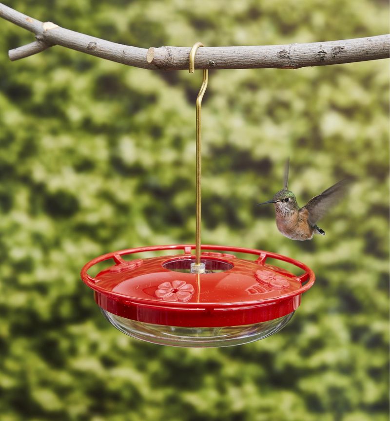 Make nearby windows and feeders safer