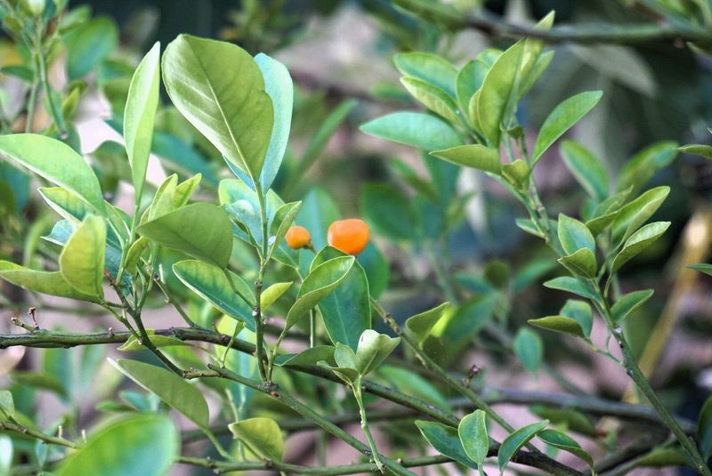 Make one informed correction and monitor the next crop