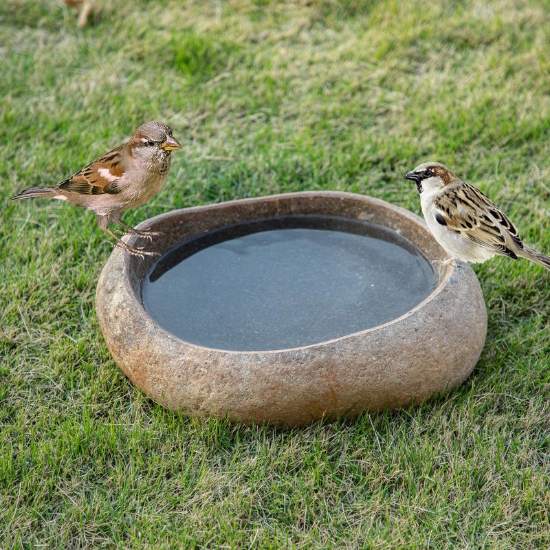 Make the yard safer than a feeder is attractive