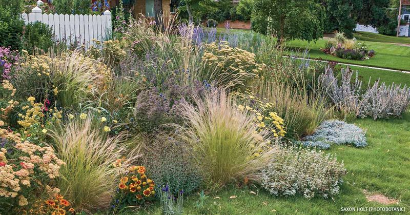 Manage a small patch instead of abandoning the lawn