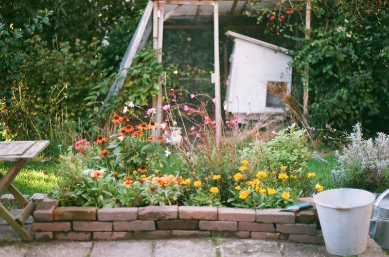 Manage clutter and firewood without blaming wildlife